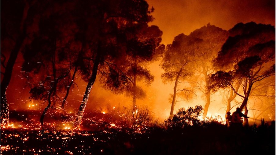 Φωτιά στον Σχίνο Κορινθίας: Γιατί οι κάτοικοι δεν έλαβαν μήνυμα από το 112 – ΒΙΝΤΕΟ
