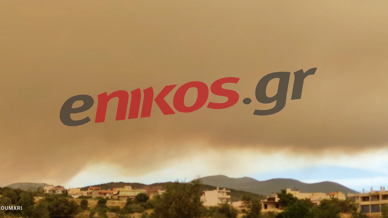 Φωτιά στην Κορινθία: Καπνός και στάχτες σε Μάνδρα και Πειραιά – ΦΩΤΟ αναγνώστη