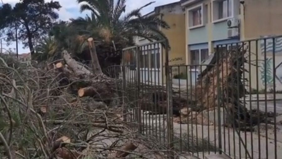 Λέσβος: Υδροστρόβιλος “χτύπησε” το νησί – “Από θαύμα δεν θρηνήσαμε θύματα”