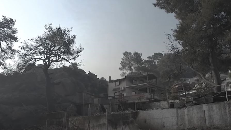 Φωτιά στον Σχίνο: Οι εικόνες καταστροφής σε ΒΙΝΤΕΟ από drone