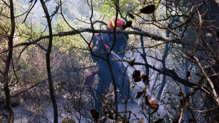 Φωτιά στα Γεράνεια Όρη: Κάηκαν 52.000 στρέμματα δάσους – Η πιο καταστροφική πυρκαγιά της δεκαετίας – ΒΙΝΤΕΟ