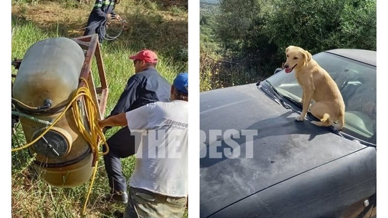 Συγκινεί ο “Χάτσικο” της Αχαΐας: Δεν εγκαταλείπει το αφεντικό του που τραυματίστηκε σε τροχαίο – ΦΩΤΟ