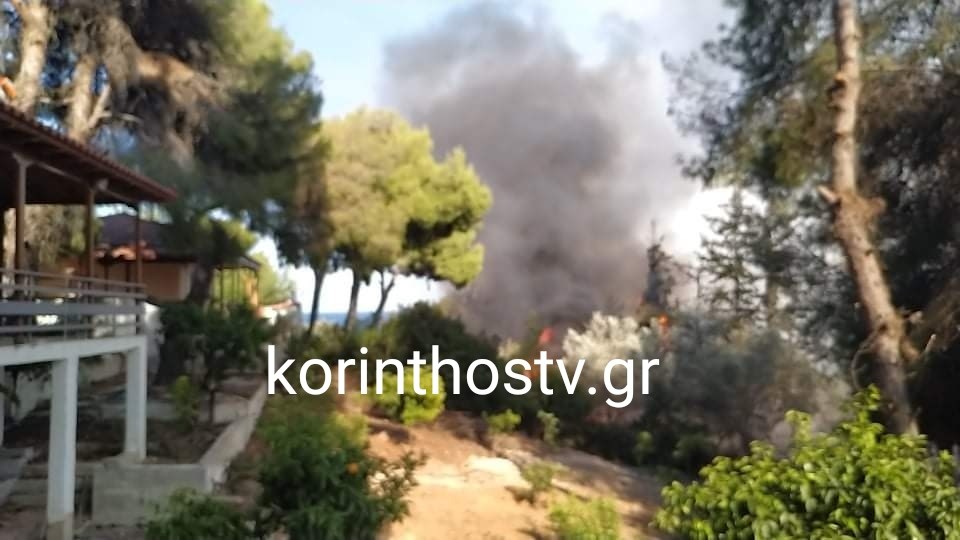 Φωτιά στην Κόρινθο: Έφτασαν κοντά στα σπίτια οι φλόγες – ΦΩΤΟ – ΒΙΝΤΕΟ