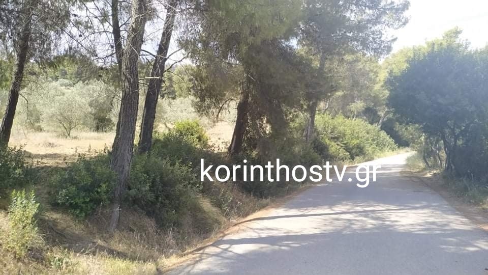 Κόρινθος: Νεκρή 45χρονη σε χωματόδρομο – Οι πρώτες εικόνες από το σημείο