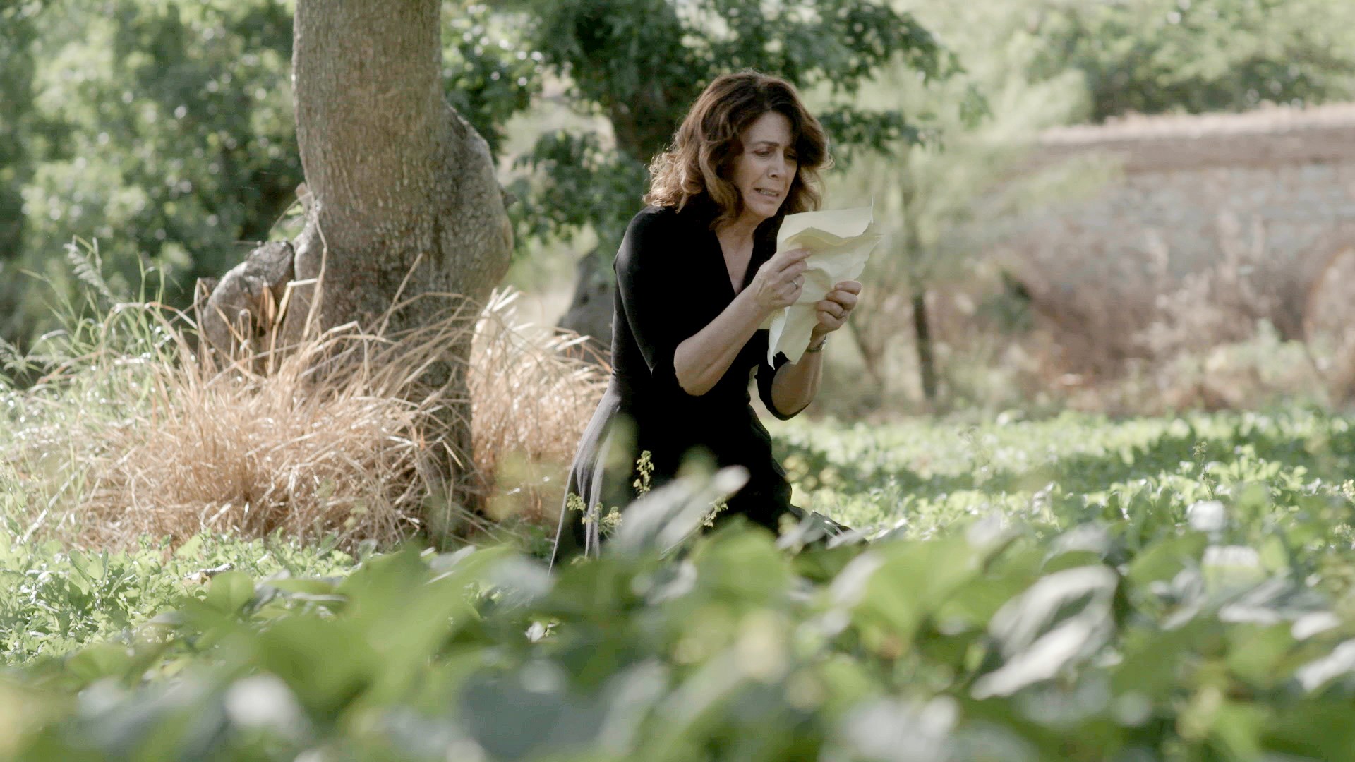 Άγριες Μέλισσες: Με… αίμα η λύση του δράματος – Όσα θα δούμε μέχρι την Πέμπτη