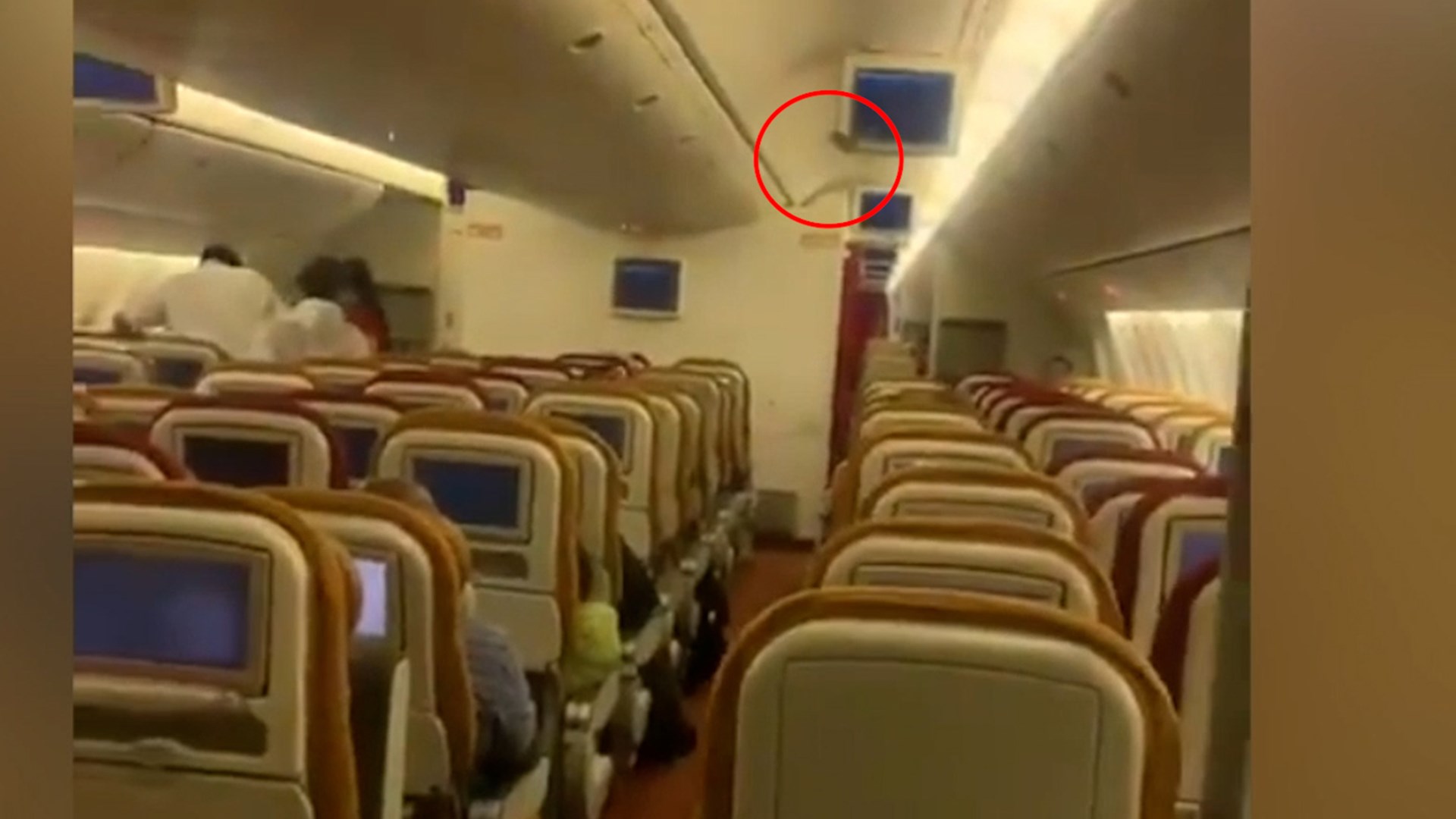 Πανικός σε αεροπλάνο λόγω… νυχτερίδας – Οι “πτήσεις” πάνω από τα κεφάλια των επιβατών της business class