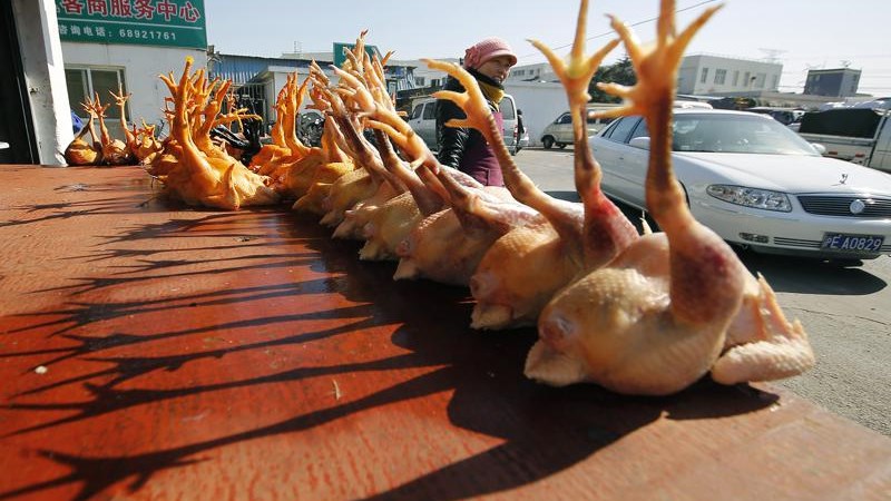 Κίνα: Καταγράφηκε το πρώτο κρούσμα γρίπης των πτηνών H10N3 σε άνθρωπο