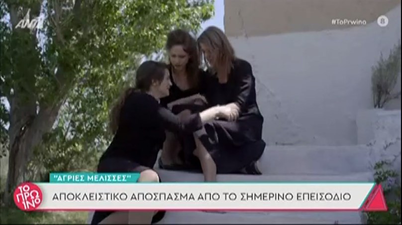 Άγριες Μέλισσες: Η συγκλονιστική σκηνή από το τελευταίο επεισόδιο –  Spoiler για τη νέα σεζόν – ΒΙΝΤΕΟ
