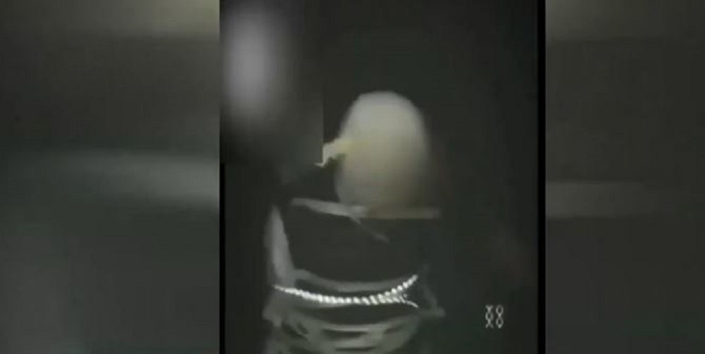 Έδεσαν χειροπόδαρα ανήλικο σε δέντρο και τον ξυλοκόπησαν – Το σοκαριστικό ΒΙΝΤΕΟ