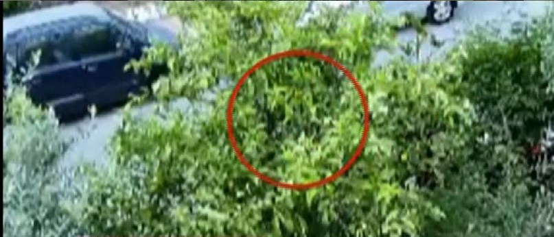 Δολοφονία στην Αγία Βαρβάρα: “Τη σκότωσα γιατί είχαμε οικονομικές διαφορές” είπε ο 75χρονος δράστης