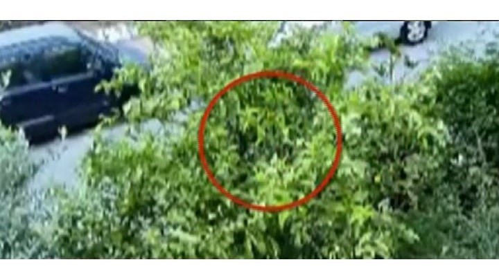 Αγία Βαρβάρα: Μετανιωμένος ο 75χρονος για τη δολοφονία της πρώην συζύγου του – Tι λέει ο συνήγορός του