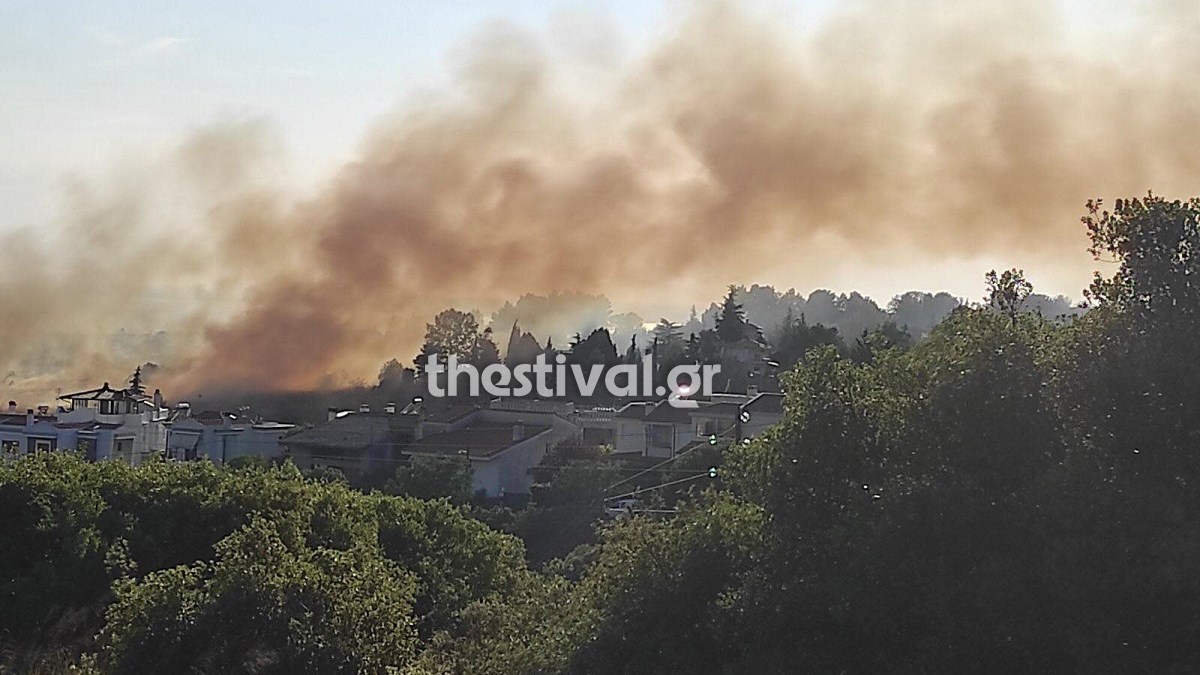 Θεσσαλονίκη: Οι πρώτες εικόνες από τη φωτιά στην Πυλαία – Κοντά σε κατοικημένη περιοχή