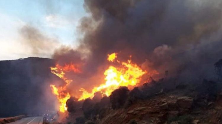 Φωτιά στο Κάτω Σούλι Μαραθώνα