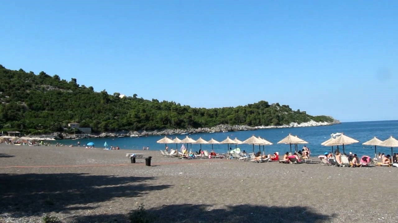 Εύβοια: Γέμισε φόλες η παραλία Αγίας Άννας – Δηλητηριάστηκαν πάνω από 10 σκύλοι και γάτες