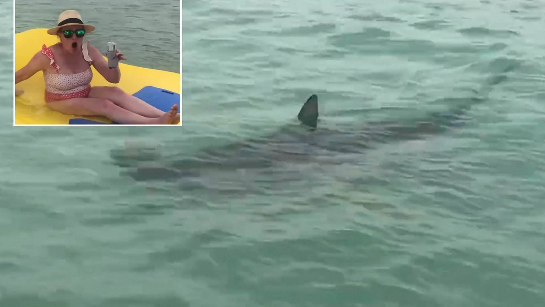 Πανικός πάνω σε φουσκωτό στρώμα – Καρχαρίες περικύκλωσαν τρεις γυναίκες – ΒΙΝΤΕΟ