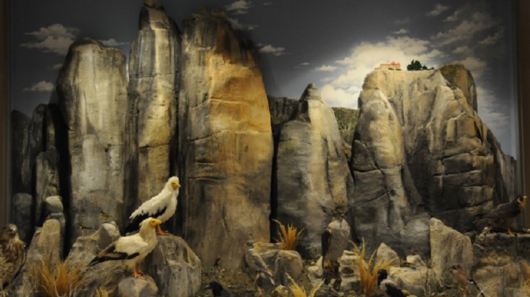 “Χρυσό” το Μουσείο Φυσικής Ιστορίας Μετεώρων και Μουσείο Μανιταριών