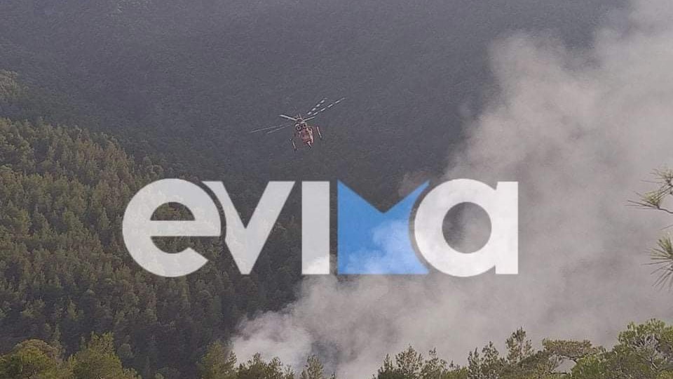 Σε εξέλιξη φωτιά στην Εύβοια – Οι πρώτες εικόνες