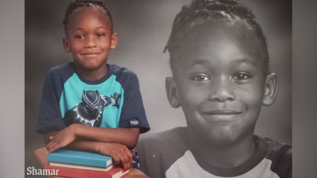 ΗΠΑ: Σκυλιά κατασπάραξαν 7χρονο – Πώς γλίτωσε ο αδελφός του