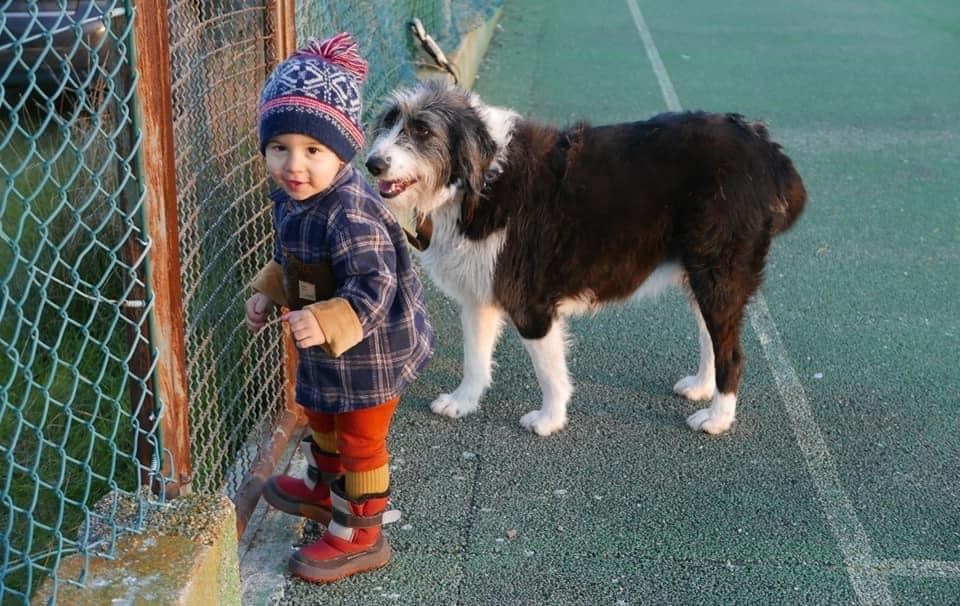 Πορτογαλία: Αγοράκι 2,5 ετών βρέθηκε σώο και αβλαβές 35 ώρες μετά την εξαφάνιση