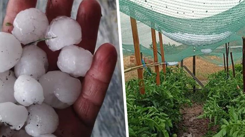 Κακοκαιρία στη Θεσσαλία: Μεγάλες ζημιές από το χαλάζι – ΦΩΤΟ