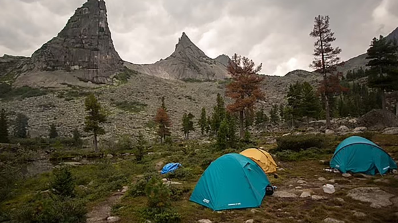 Ρωσία: Αρκούδα κατασπάραξε 16χρονο – ΦΩΤΟ – ΒΙΝΤΕΟ