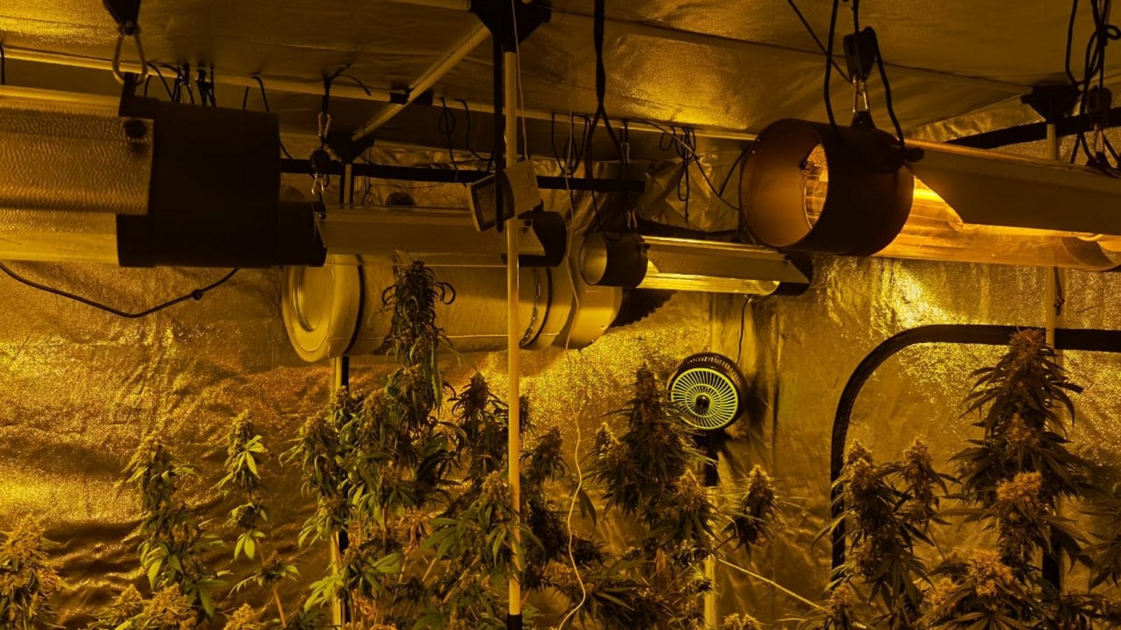 Μεγάλη αστυνομική επιχείρηση για ναρκωτικά σε Αττική και Δωδεκάνησα – Πώς δρούσαν τα μέλη του κυκλώματος