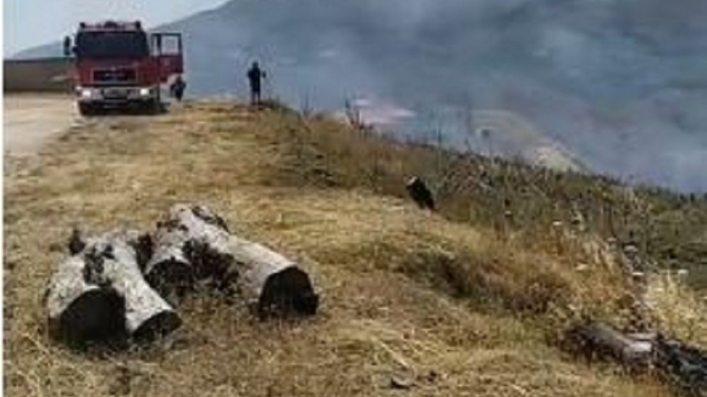 Φωτιά στον Νέο Βουτζά: Οι πρώτες εικόνες