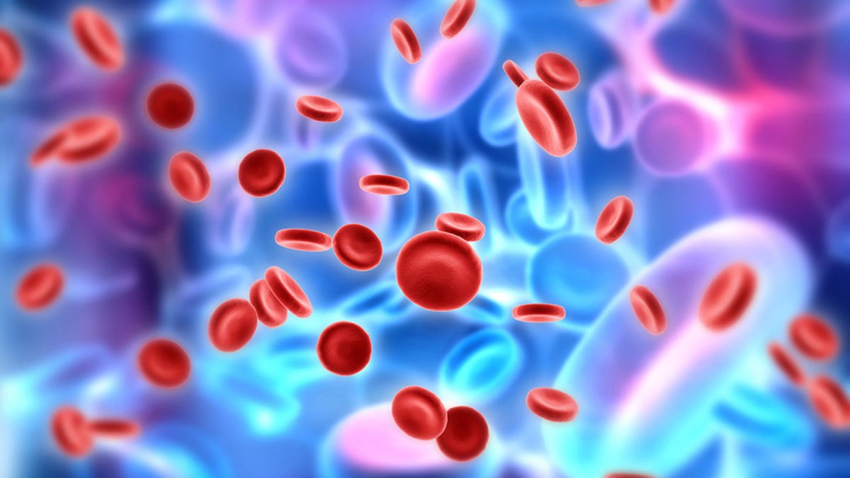 Πολλαπλούν μυέλωμα: Νέο θεραπευτικό σχήμα – Η ελληνική μελέτη που οδήγησε στην έγκρισή του