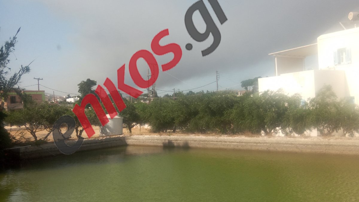 Πάρος: Υπό έλεγχο η πυρκαγιά – Διάσπαρτες εστίες αναζωπύρωσης – BINTEO