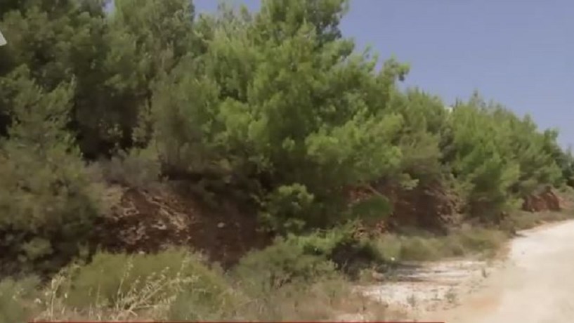 Γλυκά Νερά: Νέες αποκαλύψεις για την αγορά του οικοπέδου στο Πικέρμι – Το συμβόλαιο αγοραπωλησίας