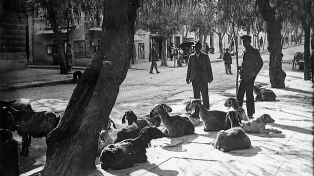 Τον αναγνωρίζετε; Είναι από τους πιο κεντρικούς δρόμους της Αθήνας – ΦΩΤΟ