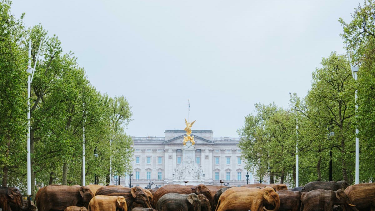 Γιατί γέμισε “ελέφαντες” το Λονδίνο; – Η αγέλη ανάμεσα σε Piccadilly και Buckingham Palace
