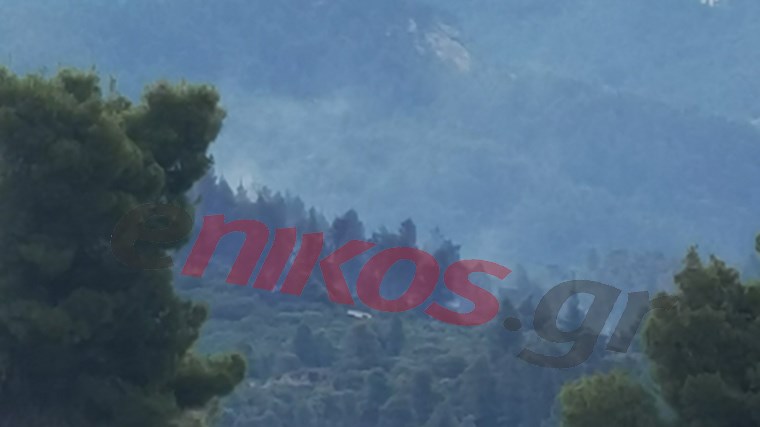 Συνεχίζεται η μάχη με τις φλόγες στη Χαλκιδική – ΦΩΤΟ