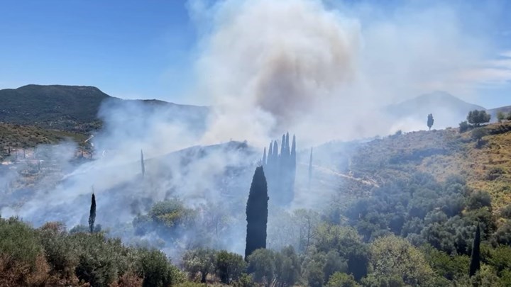 Μάχη με τις φλόγες στην Κεφαλονιά – “Ξεκίνησε από έναν βοσκό”, δήλωσε η Περιφερειάρχης