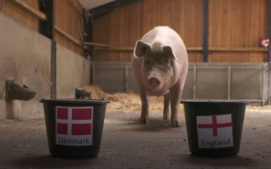 Αγγλία-Δανία: Η Σούζι… προέβλεψε τη χώρα που θα βρεθεί στον τελικό του Euro 2021 – BINTEO