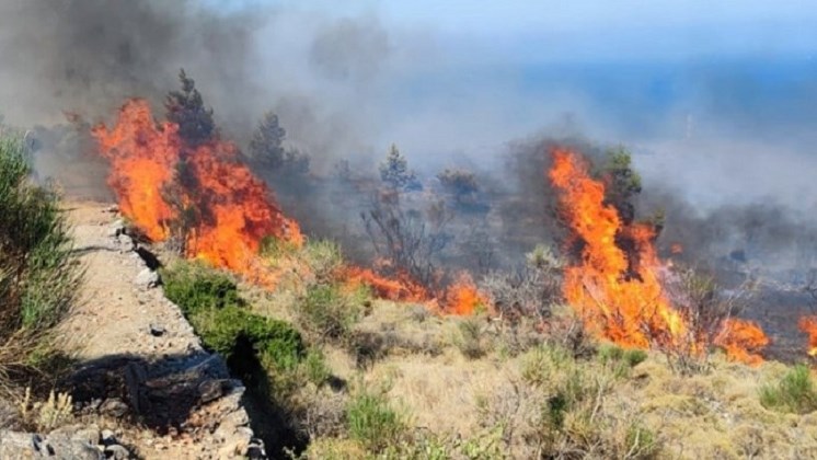 Μαίνεται η φωτιά στη Χίο: Εκκενώθηκαν οικισμοί – Και θηριώδες ρωσικό πυροσβεστικό στη μάχη με τις φλόγες – ΦΩΤΟ – ΒΙΝΤΕΟ