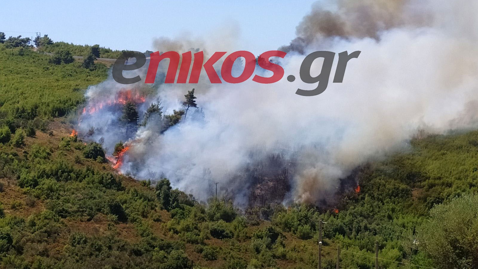 Μάχη με τις φλόγες στον Βαρνάβα Αττικής – ΦΩΤΟ αναγνώστη
