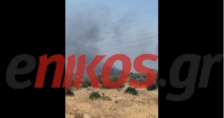 Τρίτο πύρινο μέτωπο στην Αττική – Φωτιά και στον Ασπρόπυργο – ΒΙΝΤΕΟ αναγνώστη