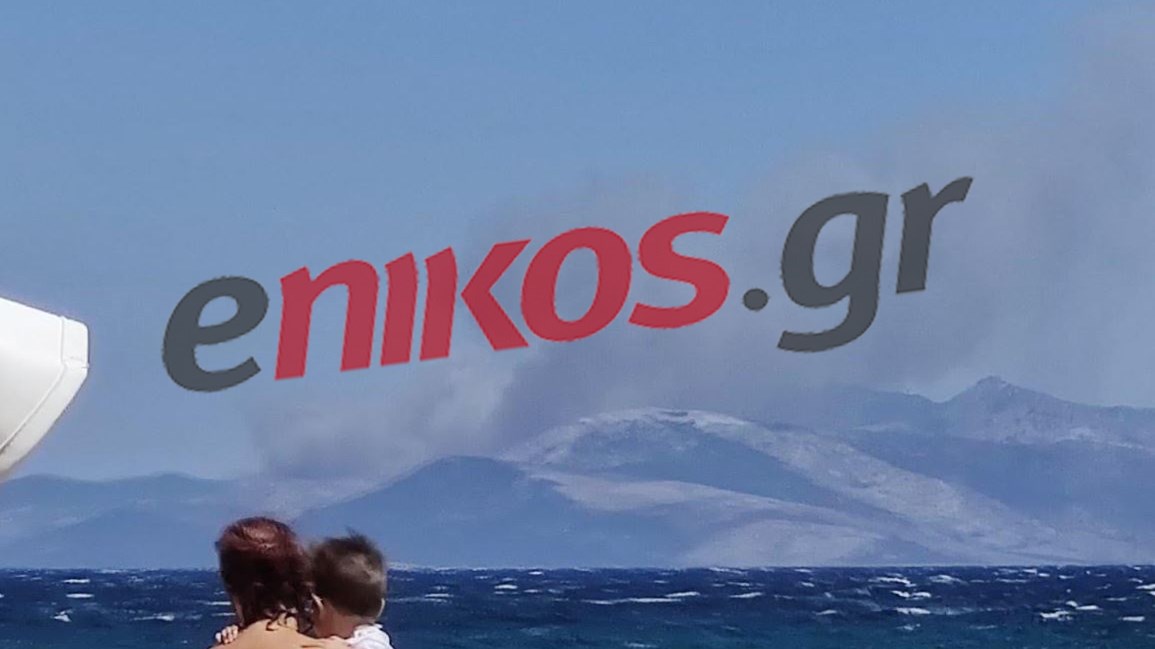 Μεγάλη φωτιά στα Στύρα Ευβοίας – Φαίνονται οι καπνοί από τη Νέα Μάκρη – ΦΩΤΟ αναγνώστη