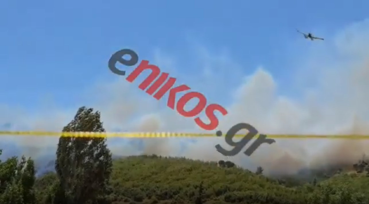 Νέες εικόνες από τη φωτιά στο Βαρνάβα – ΒΙΝΤΕΟ αναγνωστών