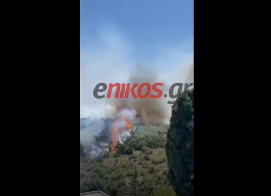 Νέες εικόνες από τη φωτιά στον Βαρνάβα – ΒΙΝΤΕΟ αναγνωστών