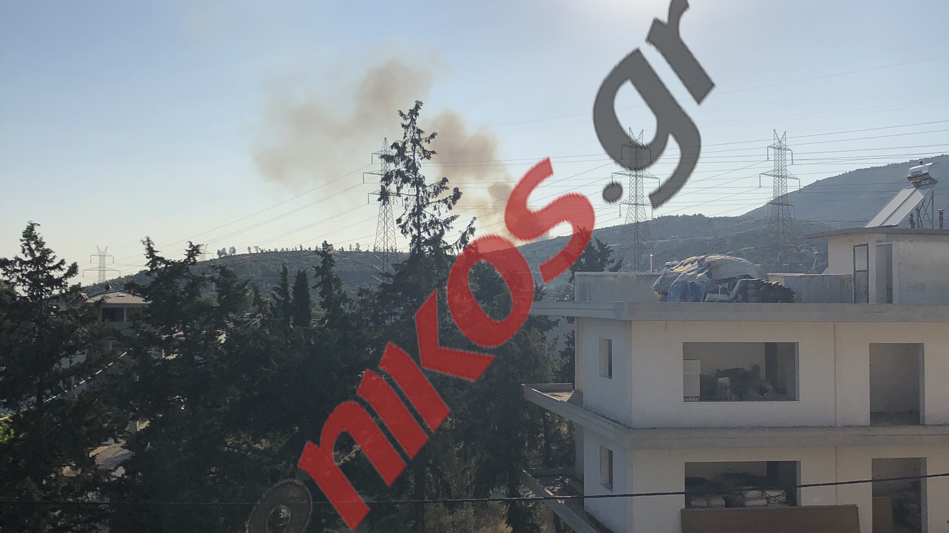 Οι πρώτες εικόνες από τη φωτιά στη Χασιά – ΦΩΤΟ αναγνώστη