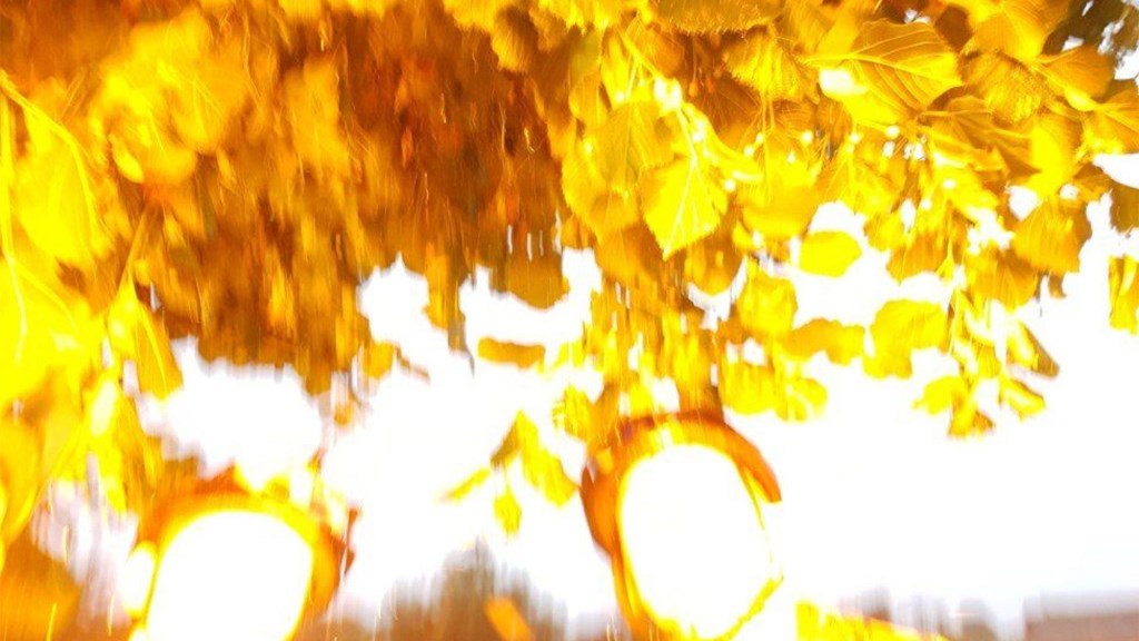 Η στιγμή που κεραυνός χτυπά τρία αδέλφια που έβγαζαν selfie