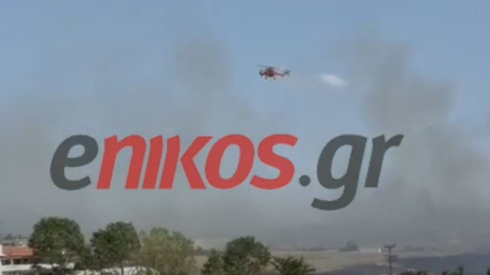 ΒΙΝΤΕΟ από τη φωτιά στο Ωραιόκαστρο