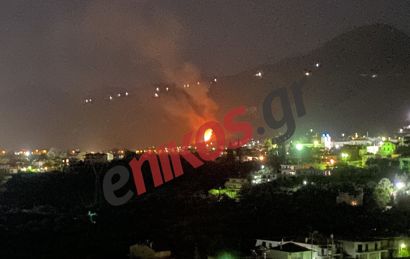 Φωτιά σε δασική έκταση στον Σελινούντα Αιγίου – ΦΩΤΟ αναγνώστη