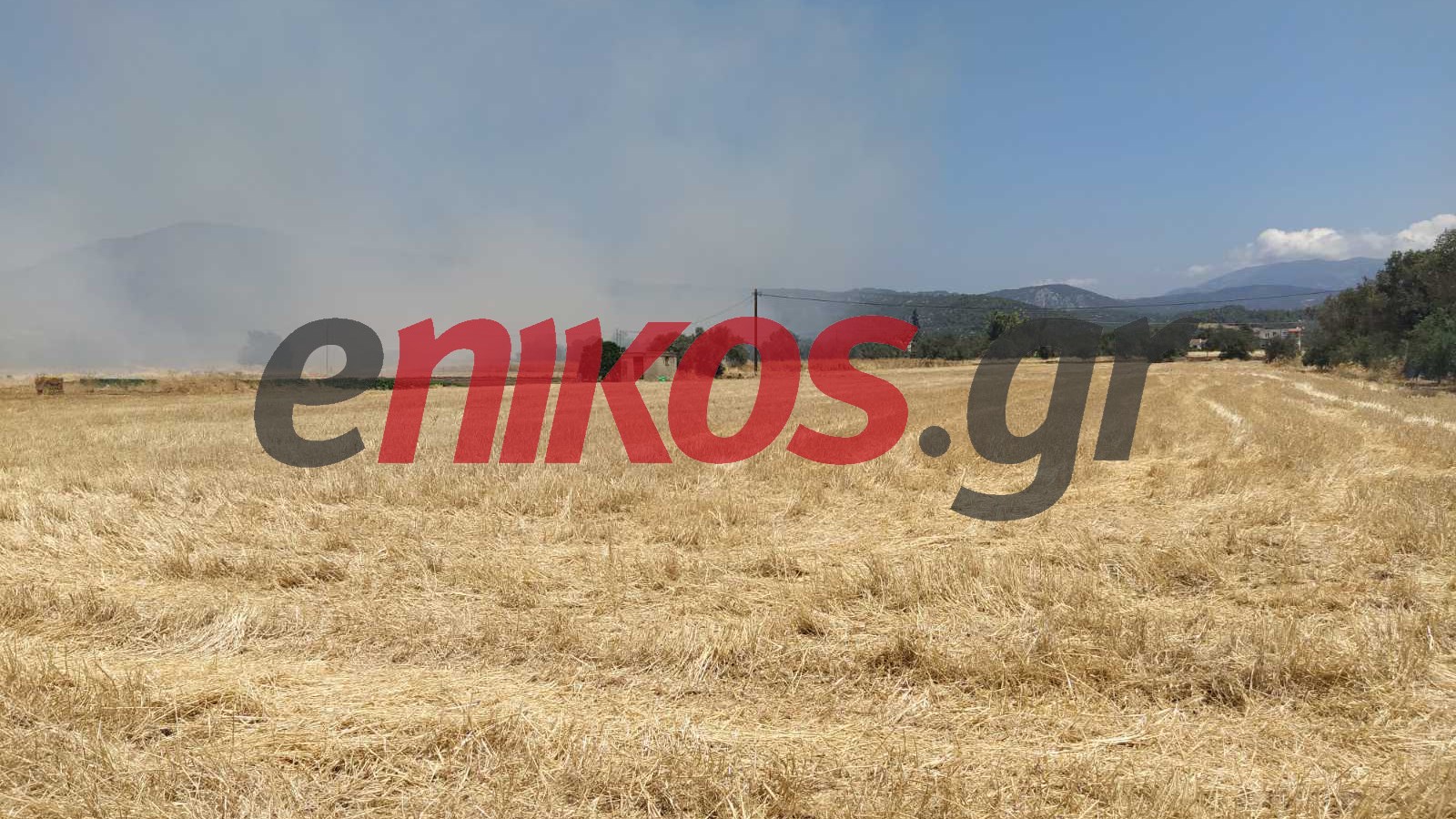 Φωτιά ΤΩΡΑ στην Εύβοια – ΦΩΤΟ αναγνώστη