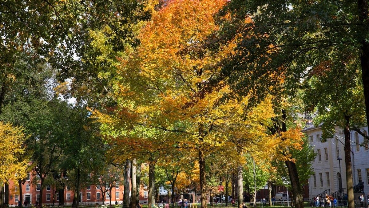 Παγκόσμιος προβληματισμός για τη λειτουργία των πανεπιστημίων – Το παράδειγμα του Harvard
