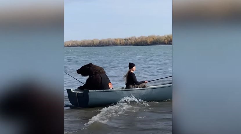 Viral η αρκούδα που πηγαίνει για…ψάρεμα – ΒΙΝΤΕΟ