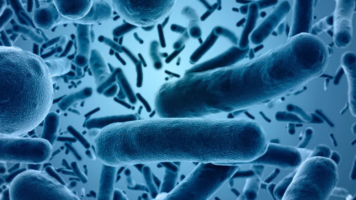 Πέθανε 10χρονη από πανούκλα στις ΗΠΑ