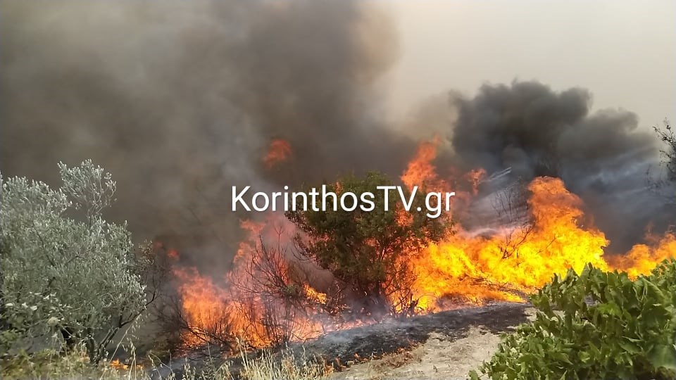 Μάχη με τις φλόγες στο Καλέντζι Κορινθίας